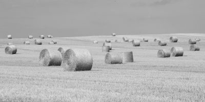 UK farm prices